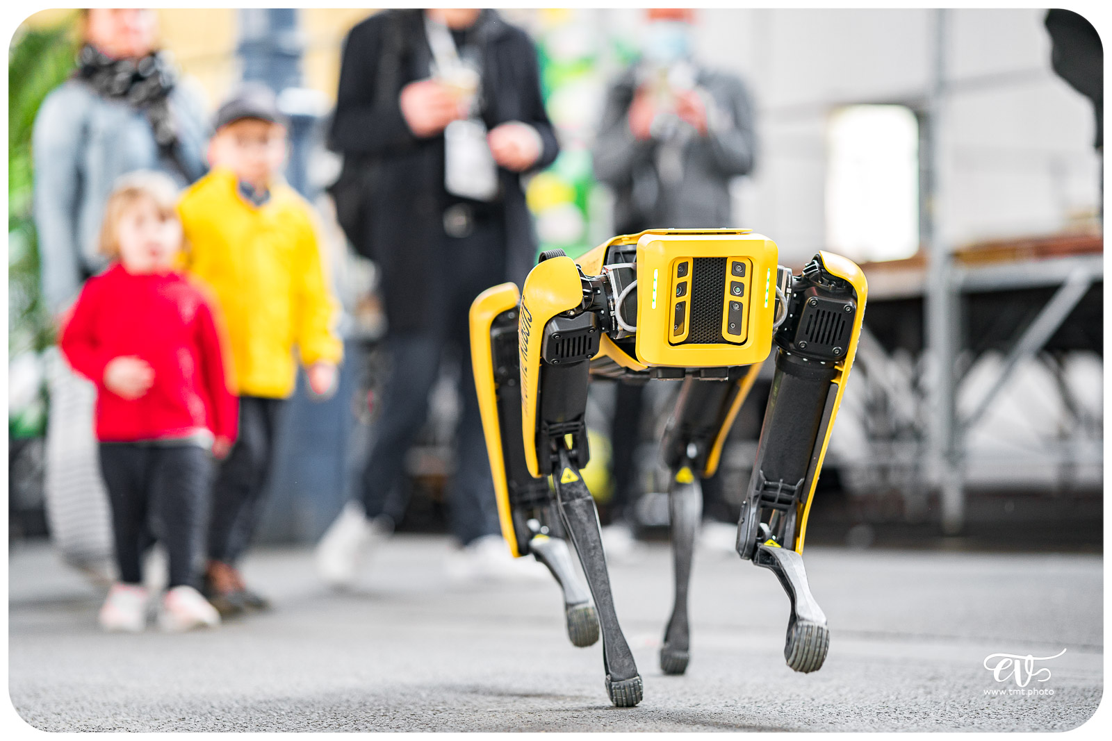 SPOT (BOSTON DYNAMICS)